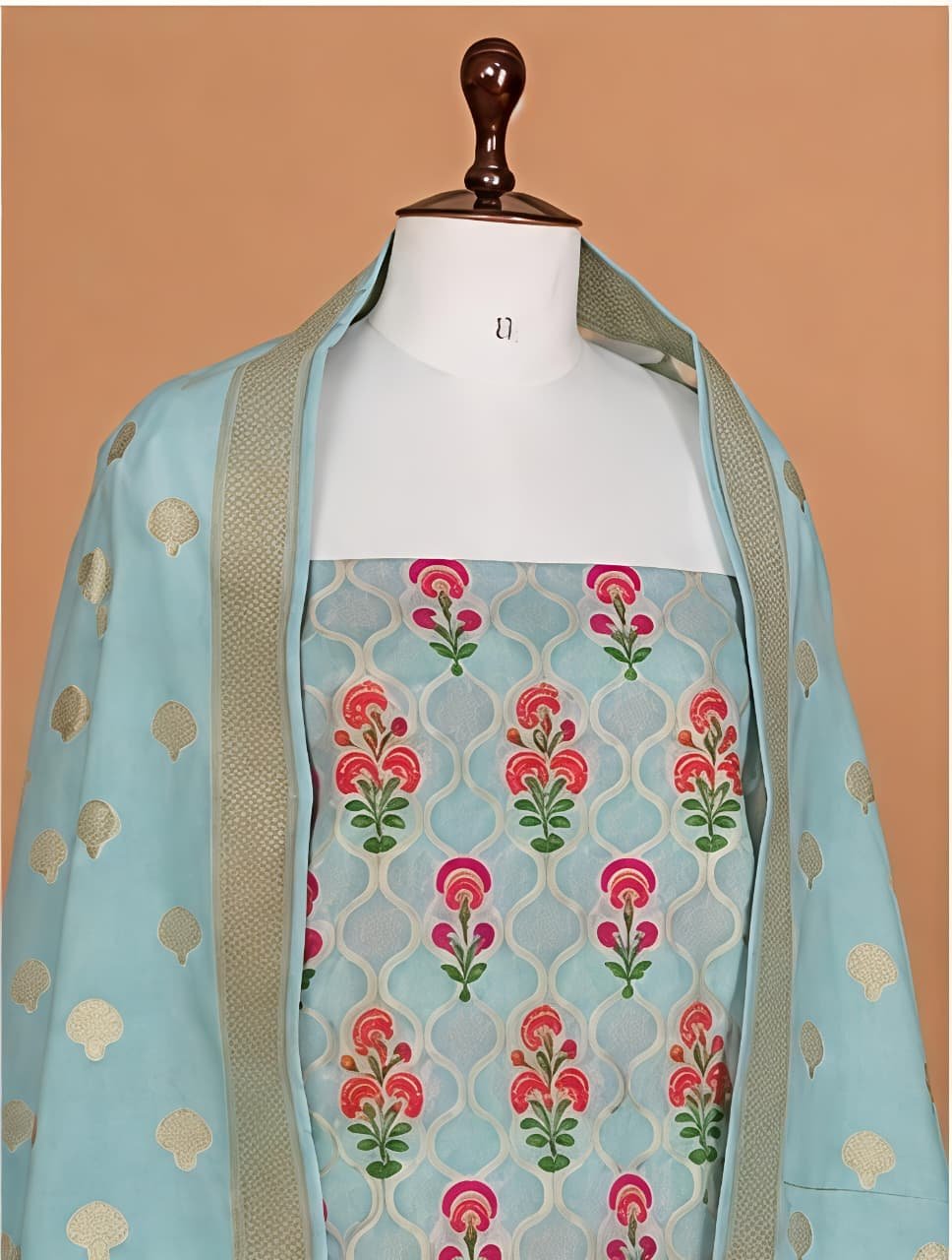 Banarasi Suit view 4