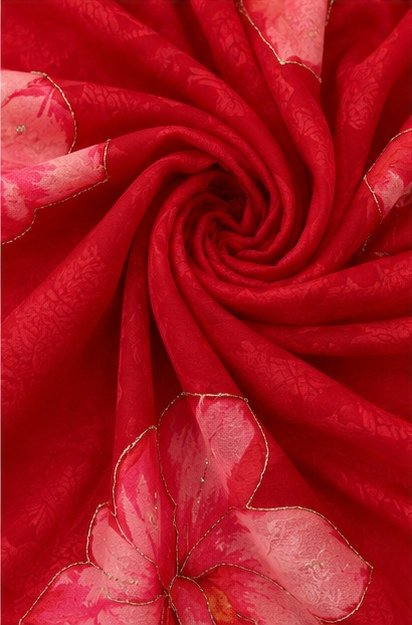 Red Organza Saree with Pink Floral Work view 6