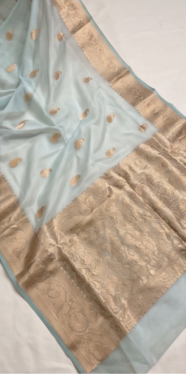Pastel Blue Banarasi Premium Kora Organza Silk Saree D3 view 2
