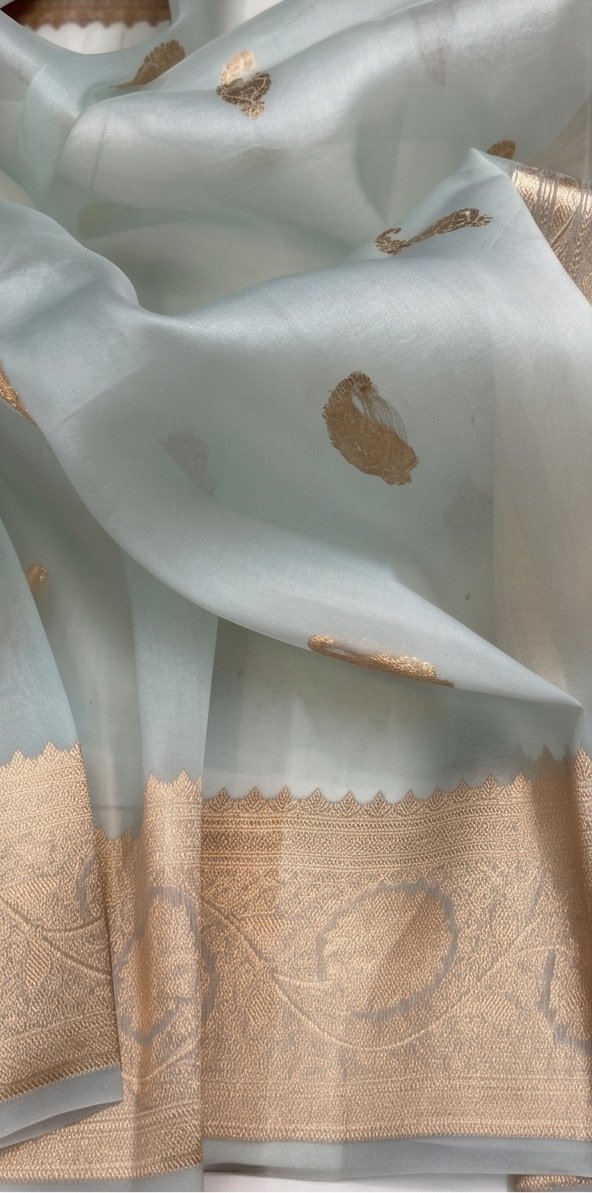 Pastel Blue Banarasi Premium Kora Organza Silk Saree D3 view 3