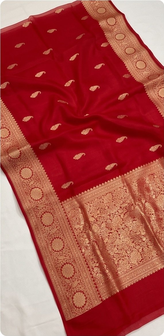 Red Banarasi Premium Kora Organza Silk Saree with Golden Zari Border D15 view 6