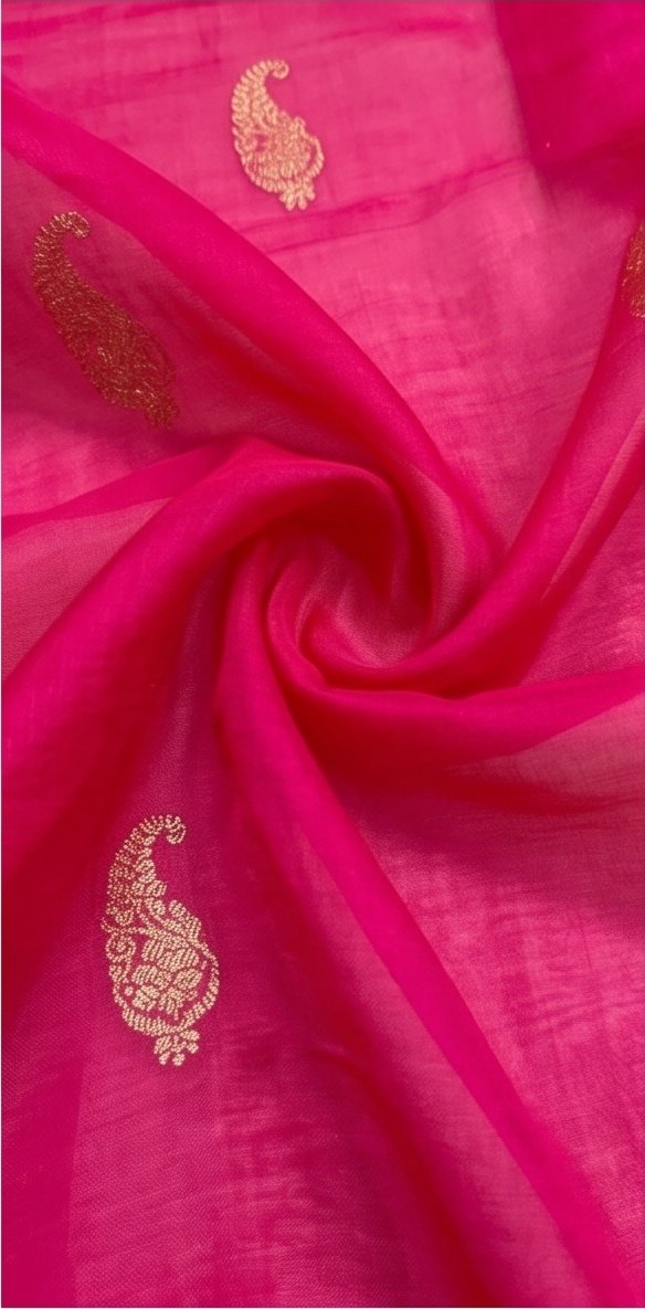 Rani Pink Banarasi Kora Organza Silk Saree with Golden Zari Border D13