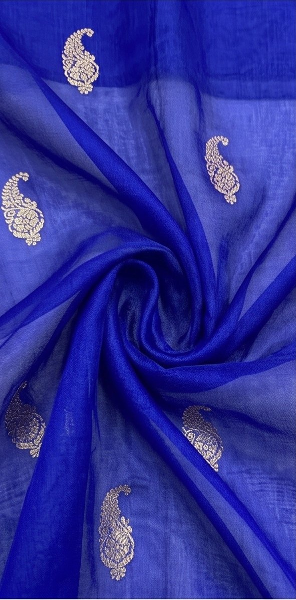 Banarasi Premium Kora Organza Silk Saree D17